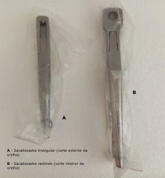 E531.jpg